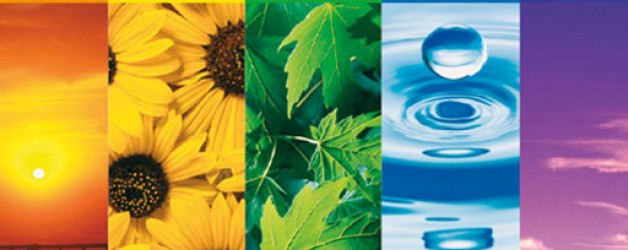 Studies Show Your Favourite Colour Reveals Your Personality! Studies Show Your Favourite Colour Reveals Your Personality!