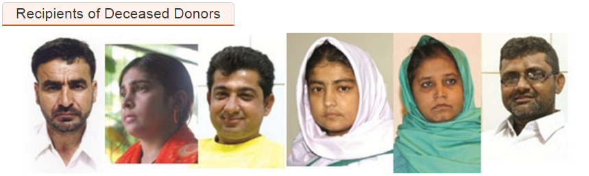 deceased donors