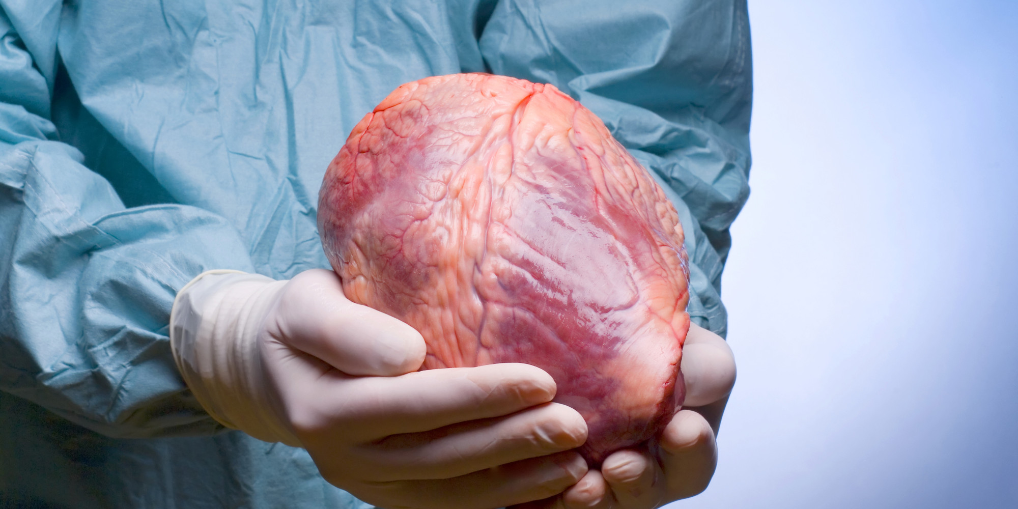 Surgeon holding a heart in his hands
