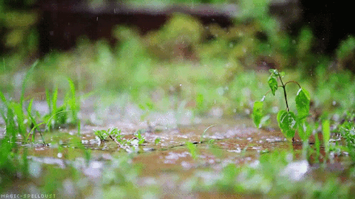 Afbeeldingsresultaat voor gentle rain gif