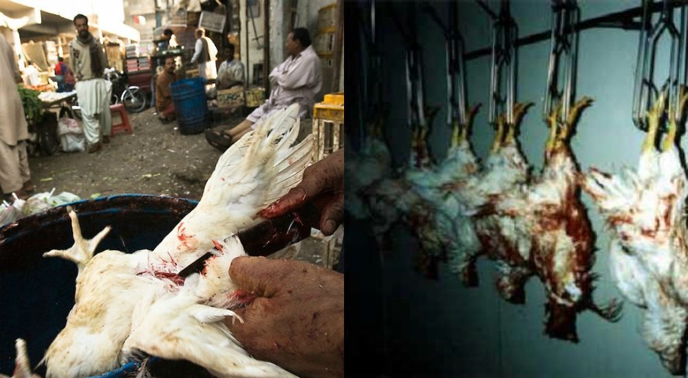 Science Backs Islam's Logic Of Eating Halal Meat Instead Of Haram