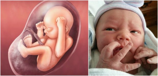 do your eyeballs grow after birth do your eyeballs grow after birth