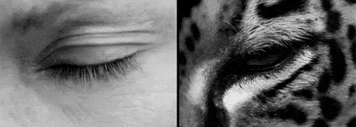 a-blink-of-an-eye_1139