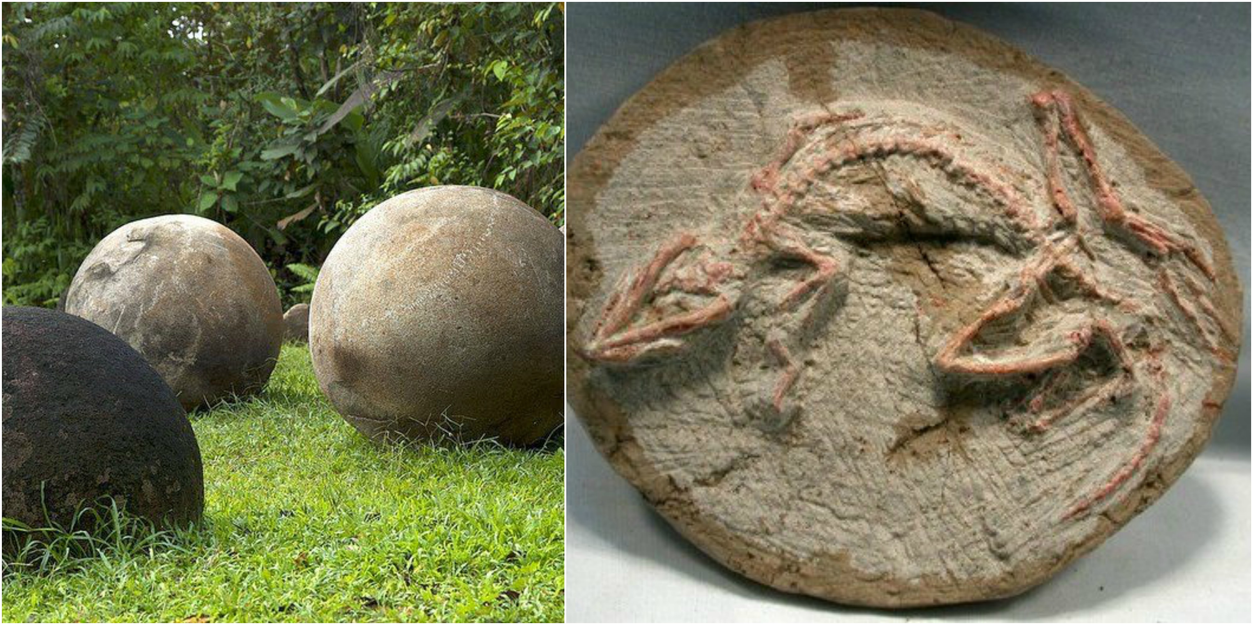 Unbelievable Lekulent.Et Discoveries You Won'T Believe! - hrn37bf