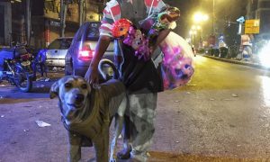 Boy To A Stray Dog - Parhlo.com