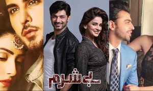 Best On-Screen Pakistani Drama Couples - Parhlo.com