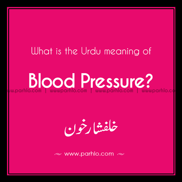 Examples of had sentences You don have to meaning in urdu