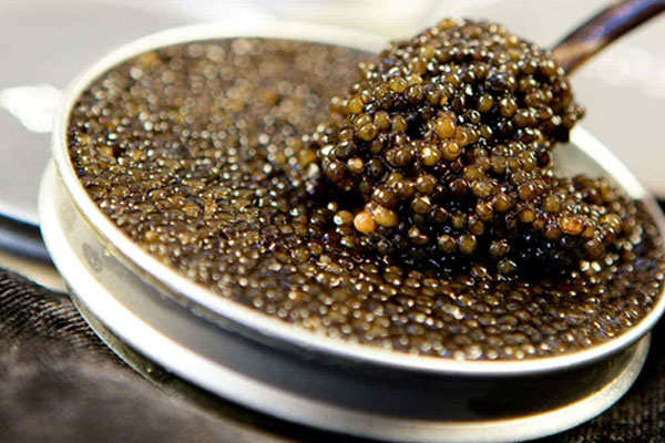 20 Most Expensive Food Items In The World Parhlo