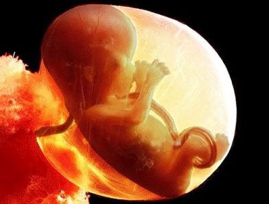 Source: photobucket.com