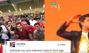 Shehzad Roy- Amazing Performance In PSL - Parhlo.com