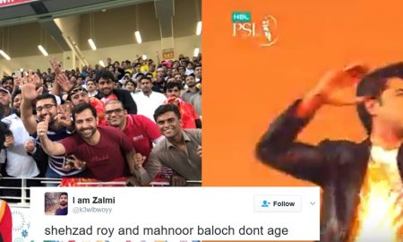 Shehzad Roy- Amazing Performance In PSL - Parhlo.com