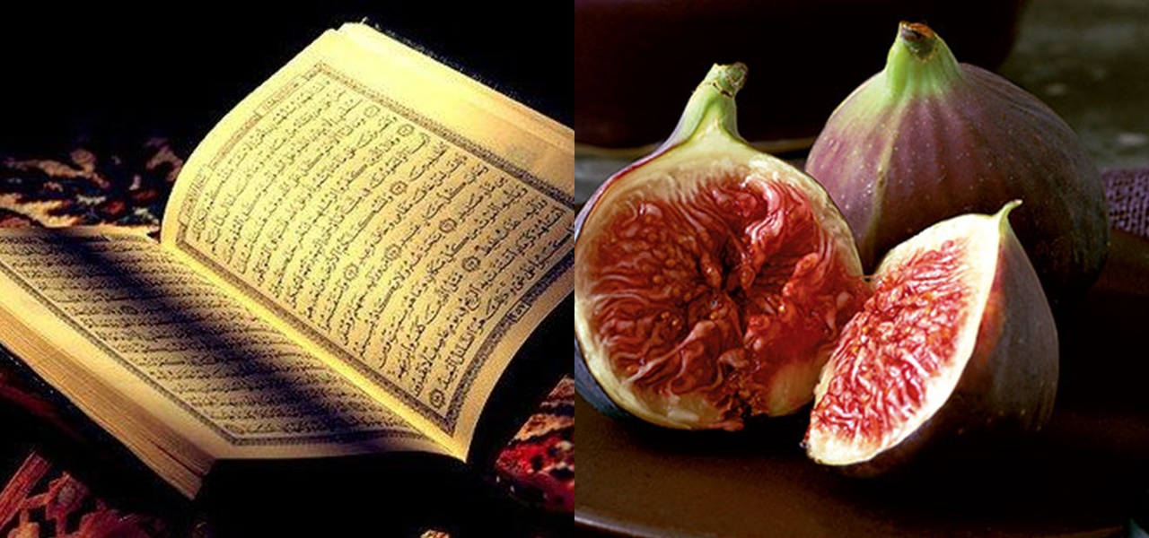 6 Beneficial Fruits For Humans According To The Holy Quran And Sunnah