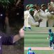 champions trophy