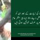 جعلی پیر