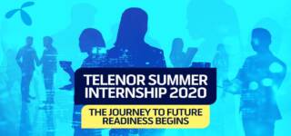 Telenor virtual internship program