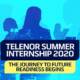 Telenor virtual internship program