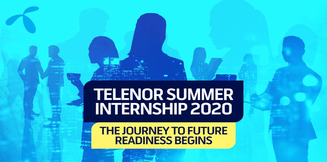 Telenor virtual internship program