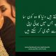 بہن بھائی کی شادی