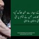 فیس بک پر جعلی پیر