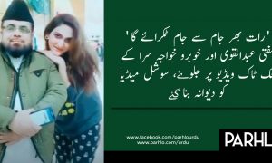مفتی عبدالقوی ٹک ٹاک ویڈيو