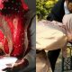 Rights Of Wives According To The Holy Quran And Hadiths Every Should Know About