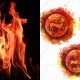 zodiac fire signs