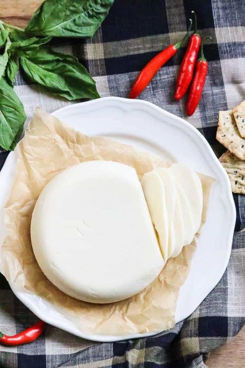 Mozzarella cheese weight loss
