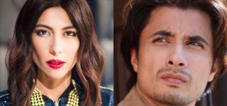 Ali Zafar and Meesha Shafi allegations