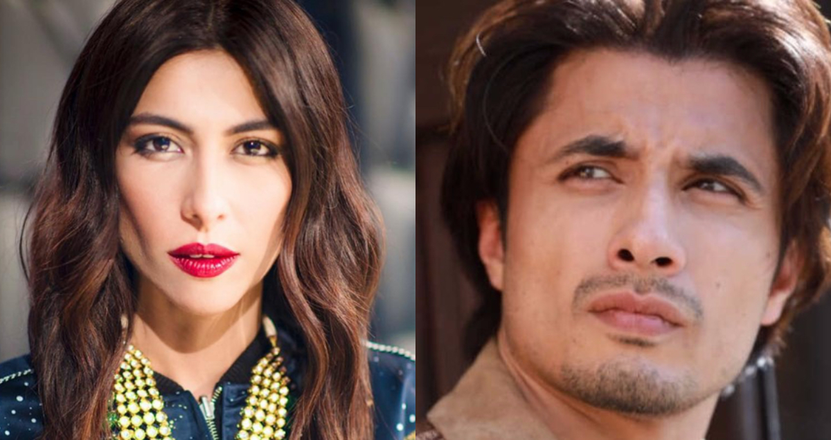 Ali Zafar and Meesha Shafi allegations