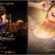 parey hut love trailer