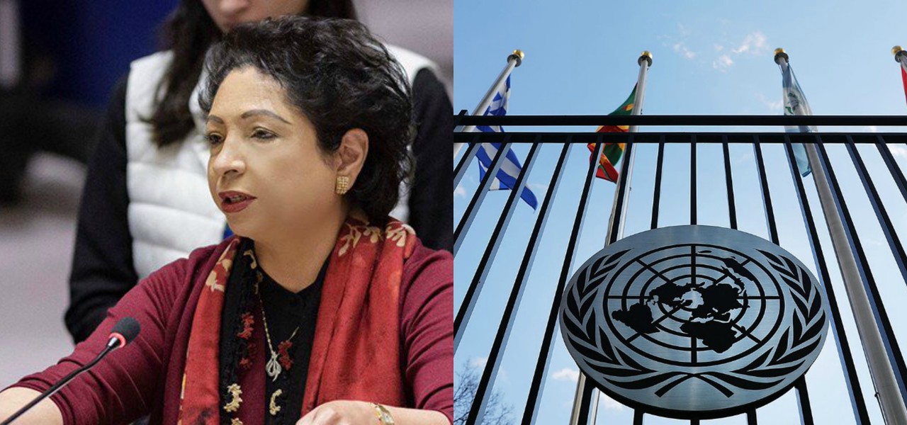 maleeha lodhi