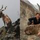 trophy hunting in pakistan