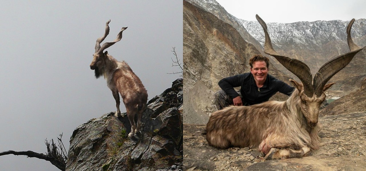 trophy hunting in pakistan