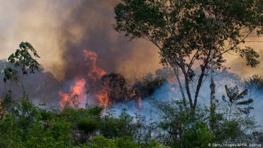 amazon forest fire