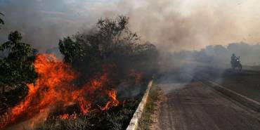 amazon forest fire