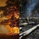 amazon forest fire