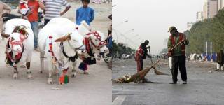 Eid waste management