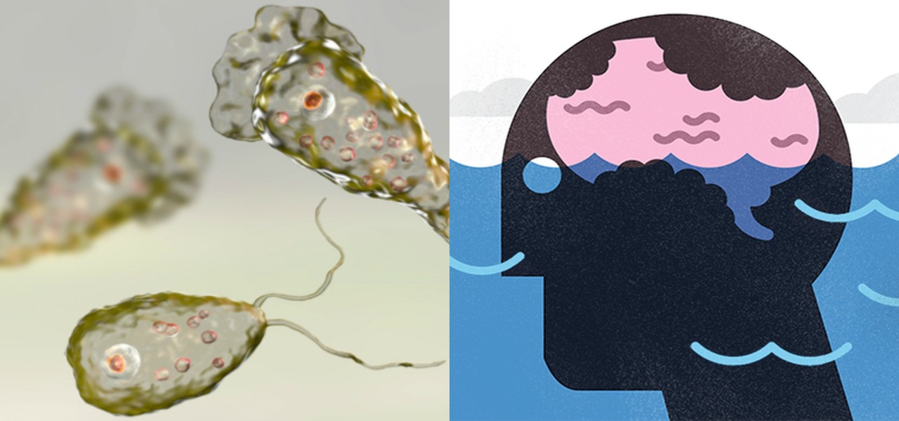 Naegleria Fowleri
