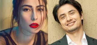 ali zafar and meesha shafi allegations