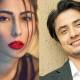 ali zafar and meesha shafi allegations