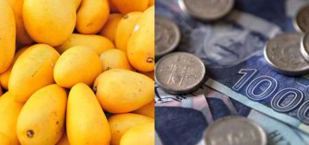 pakistan mango export