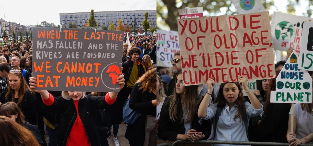 Global placards climate strike
