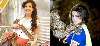 rabi pirzada pets