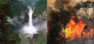 amazon forest fire