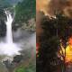 amazon forest fire
