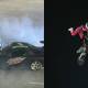 Dew Moto