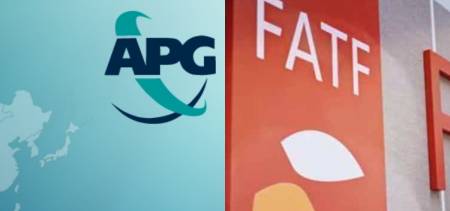 apg report on pakistan