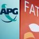 apg report on pakistan