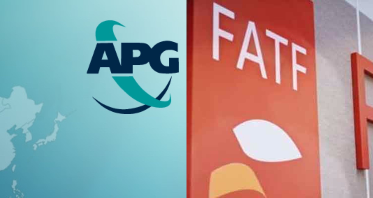 apg report on pakistan