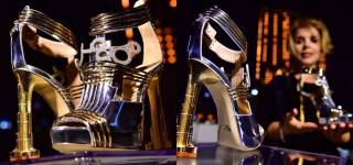 World's Most Expensive Shoes Contains 30 Carats Of Diamonds